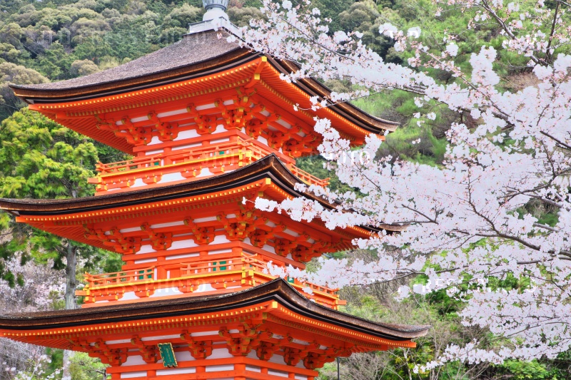建築・庭園・美術の写真